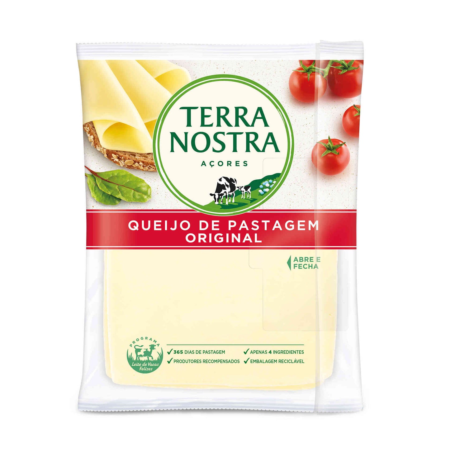 Terra Nostra Queijo Flamengo Fatiado 200g