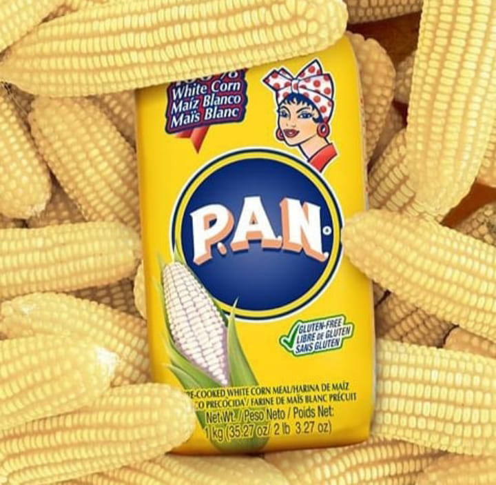 Pan Farinha Branca 1kg